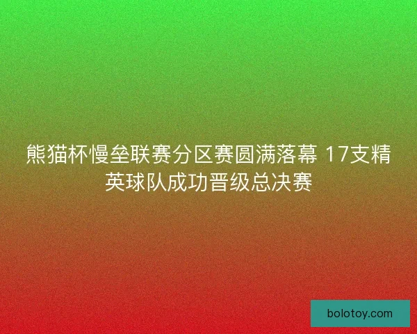 熊猫杯慢垒联赛分区赛圆满落幕 17支精英球队成功晋级总决赛