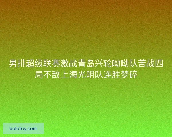 男排超级联赛激战青岛兴轮呦呦队苦战四局不敌上海光明队连胜梦碎